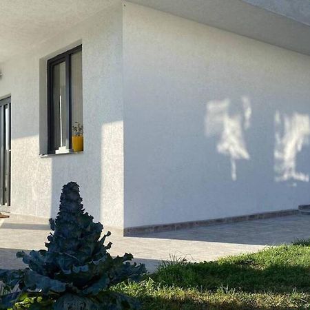 Lola Seaview Guest House. Уютный Домик В Варне Warna Zewnętrze zdjęcie