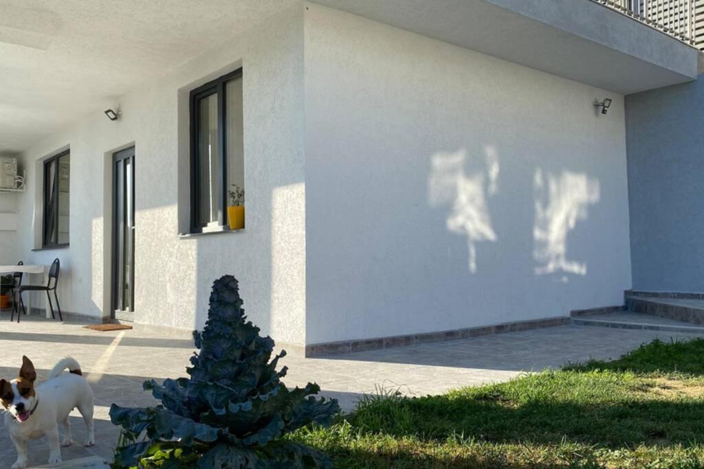 Lola Seaview Guest House. Уютный Домик В Варне Warna Zewnętrze zdjęcie
