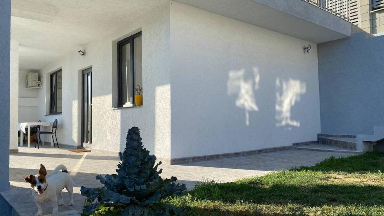 Lola Seaview Guest House. Уютный Домик В Варне Warna Zewnętrze zdjęcie